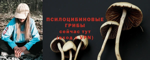 дживик Алексеевка