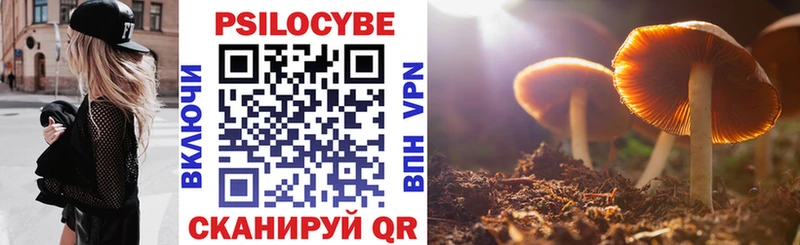 Галлюциногенные грибы Cubensis  Магадан 